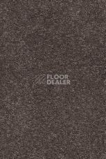 Ковролин AW Vivendi Punch 44 фото 1 | FLOORDEALER